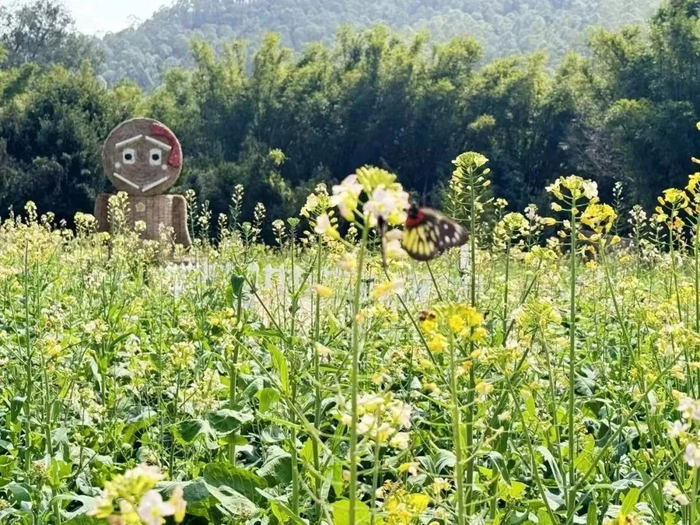 中山春日赏花地图来啦还有智能音箱和立体花海门票大派送