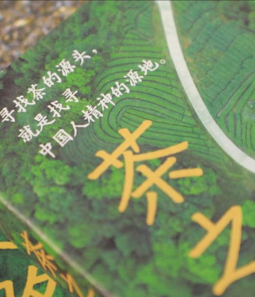 《茶之路》 寻找茶的源头……|茶之路_新浪新闻