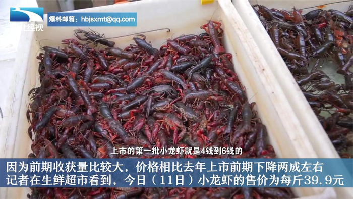今年首批潜江小龙虾上市价格同比降两成