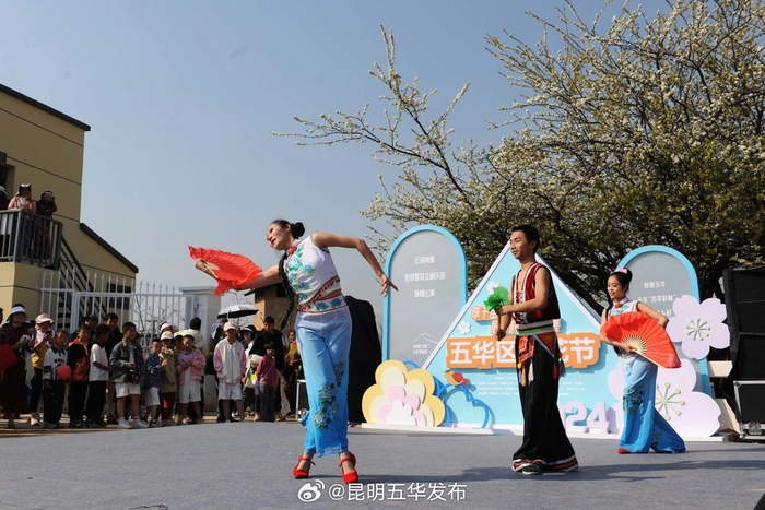 五华西翥梨花节今天开幕未来两天还有精彩活动