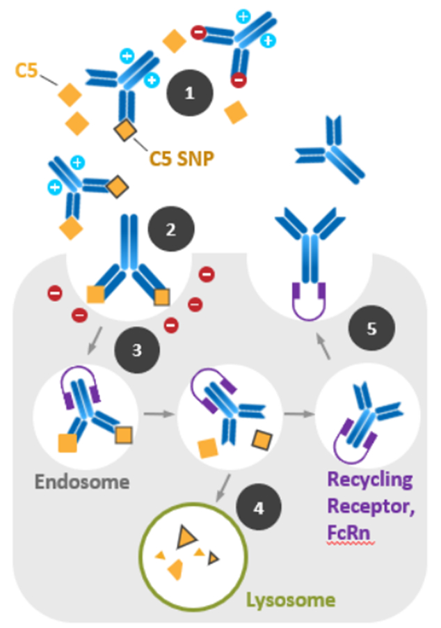 这十款药物今年有望获fda批准