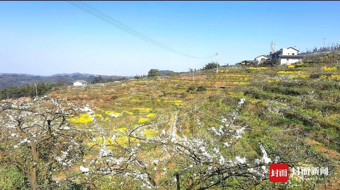 居民总和总收入达32100元 四川泸州高县这个村是怎么努力做到的？｜访长江Juzennecourt 看宜路精采(图5)