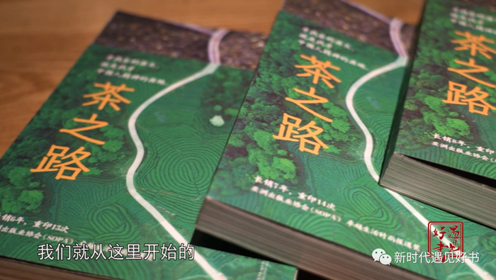 茶之路寻找茶的源头