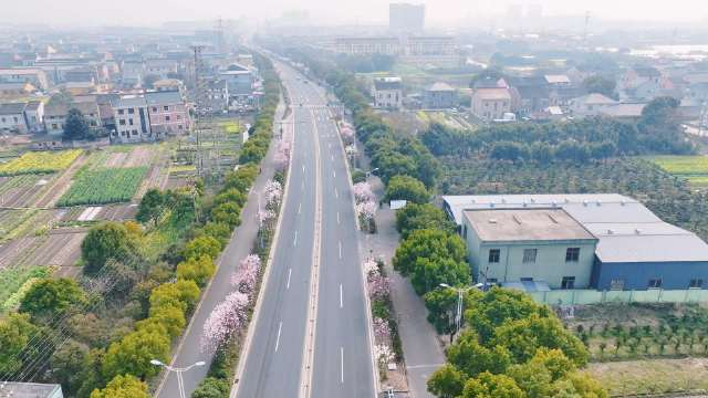慈溪逍林寺马线的玉兰花开了在路上的幸福感油然而生供稿逍林镇67