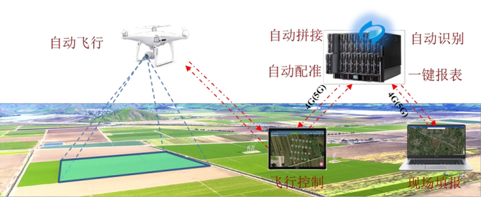 科技赋能农险诚泰保险创新服务高效保障