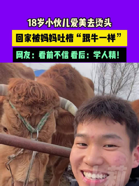 有型小伙烫发发型和家里牛一样
