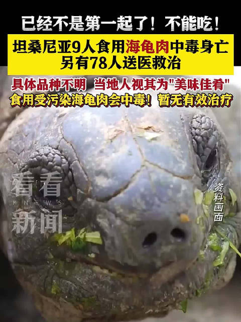 不是第一起坦桑尼亚9人因食用海龟肉中毒身亡另有78人送医