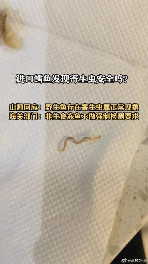 鱼里面的寄生虫图片