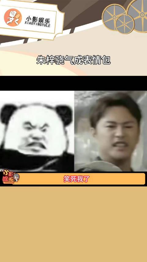 朱梓骁气成表情包 ,代入一下我真的怒了!__财经头条