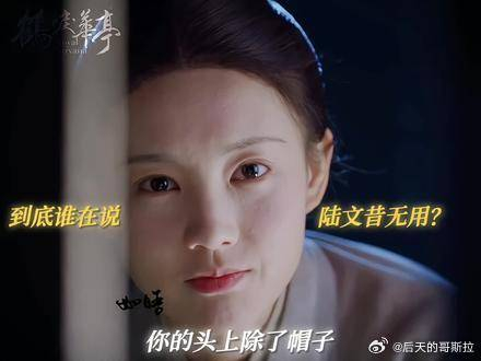 到底是谁在说陆文昔无用啊鹤唳华亭李一桐67