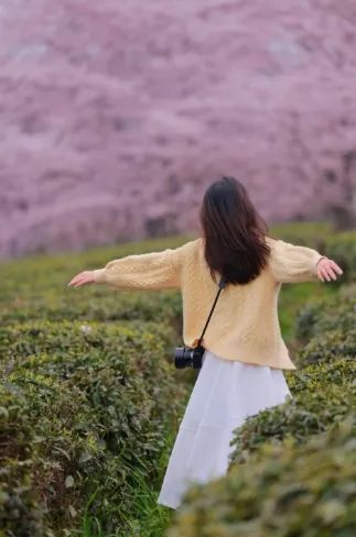 爽爽贵阳·繁花似锦 | 收藏!贵安樱花园一站式游园攻略|贵阳市|赏樱_