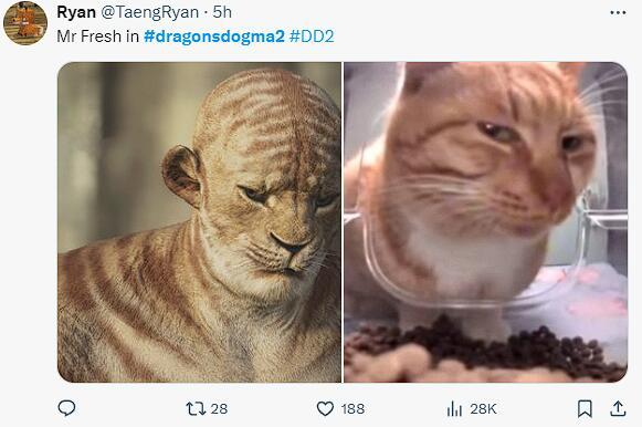 你别说，眼神还真挺像