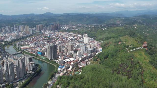 汉阴:深化"三个年"活动 提升绿色发展"含金量"|林业产业|汉阴|玫瑰