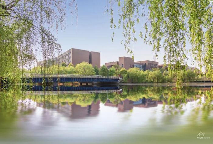 春风十里,"植"此青绿|江南大学|武汉理工大学|东北大学_新浪新闻