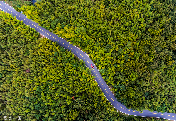 图源：视觉中国