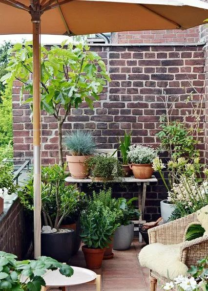 4个妙招,让你的阳台秒变小花园