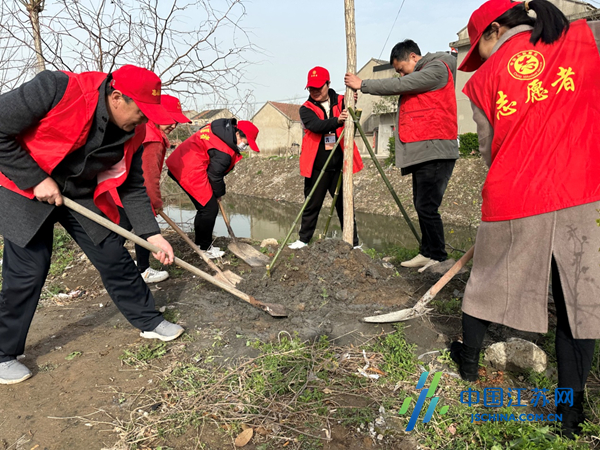 阜宁县东沟镇:植树润家园 代表做表率|东沟镇|阜宁县|绿美_新浪新闻