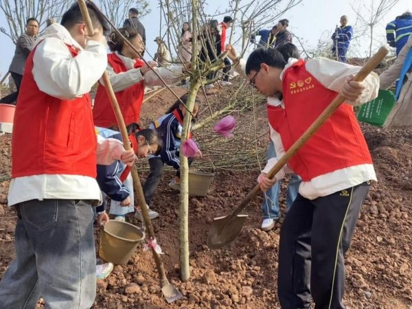 荣昌区开展春季义务植树活动__财经头条