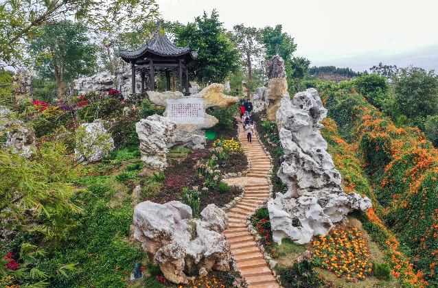 高州粤龙山风景区拆除图片