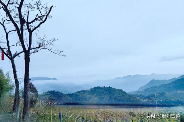 这个可远眺瓯江两岸风景绝佳的青田大尖山你可去过?