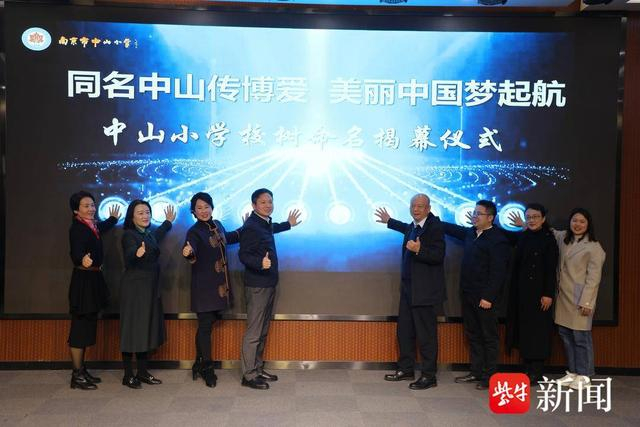 中山杉落户校园南京市中山小学有了自己的校树