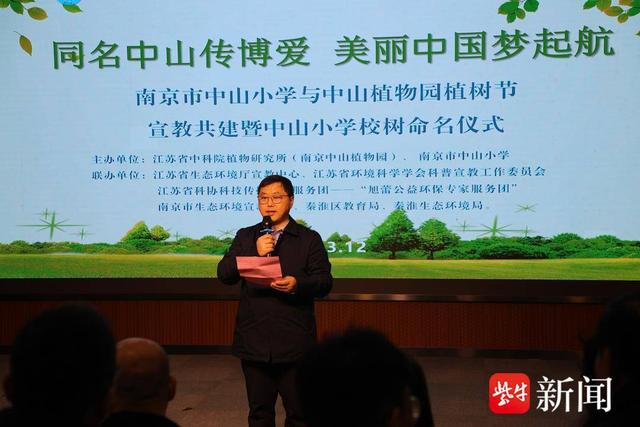 中山杉落户校园南京市中山小学有了自己的校树