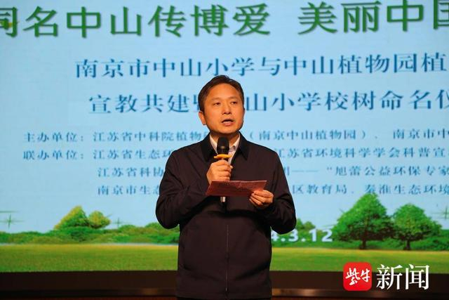 中山杉落户校园南京市中山小学有了自己的校树