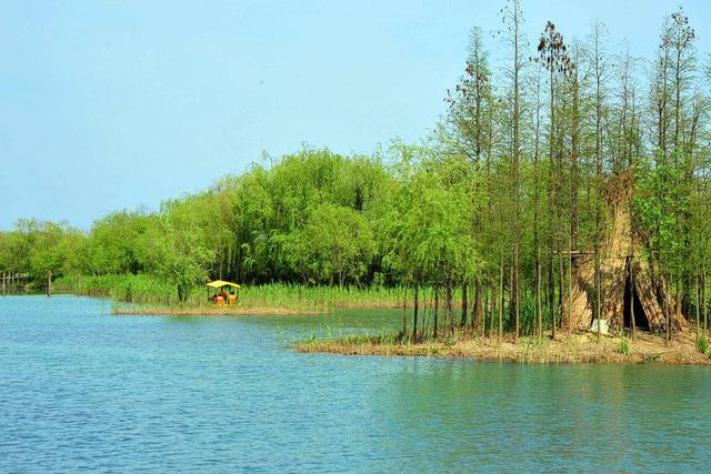 一不小心拍到专属苏州三山岛的"语文课本封面"|苏州市_新浪新闻