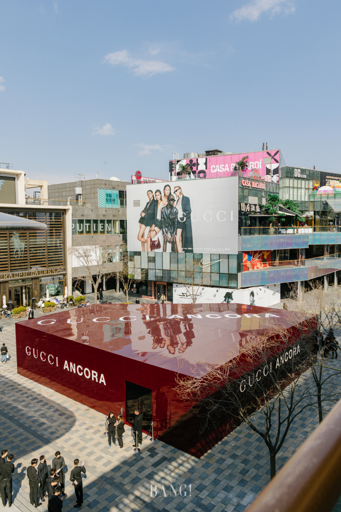 古驰|gucci|北京市_新浪新闻