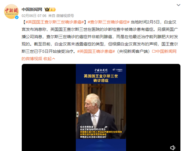 消失的凯特王妃|凯特王妃_新浪新闻