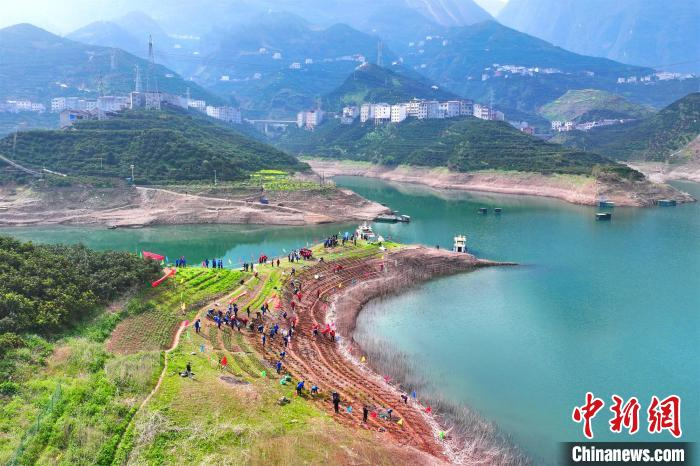 三峡库区:3000余株珍稀濒危植物回归原生地|三峡库区|植物|原生_新浪