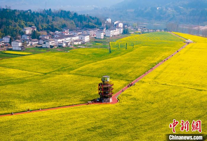 四川平昌白衣古镇上千亩油菜花香醉游人