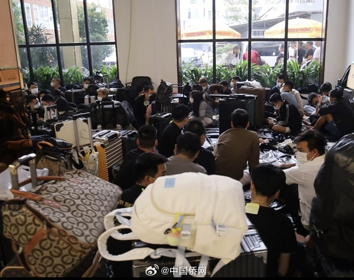 柬埔寨|西港|赌博_新浪新闻