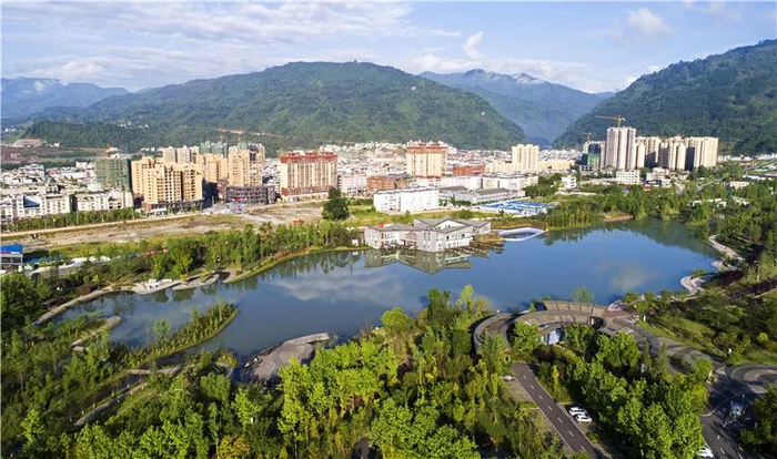 植树节│雅安树的数|植树节|雅安|雅安市_新浪新闻