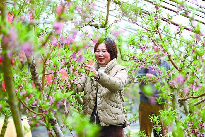 产业乡村游已成为当地百姓致富的新模式