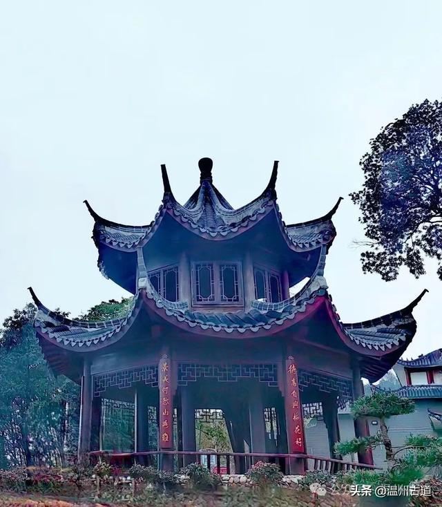 这个可远眺瓯江两岸风景绝佳的青田大尖山你可去过?