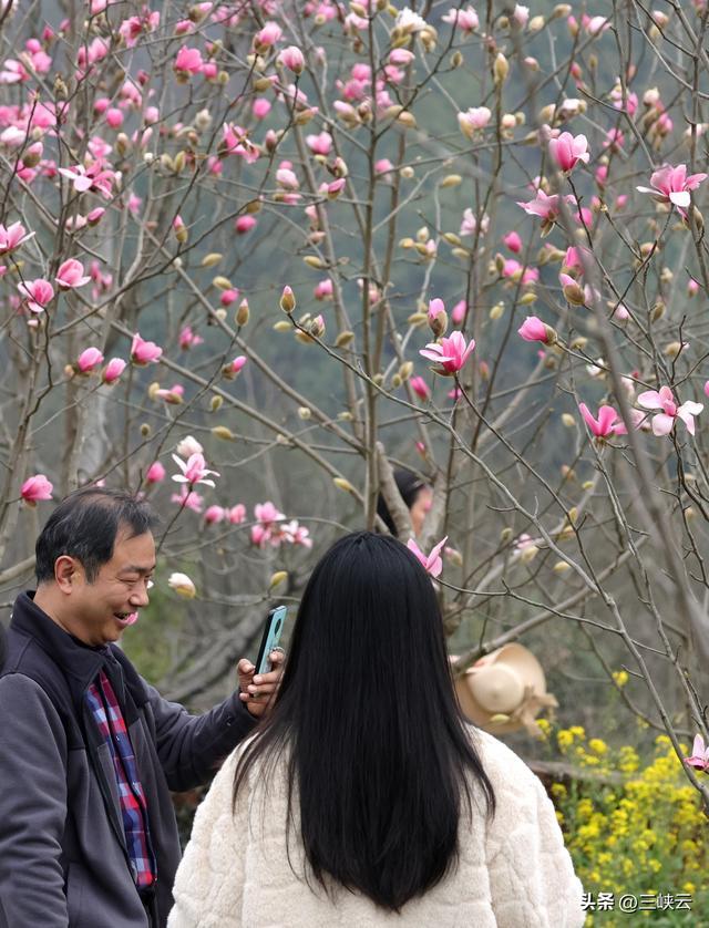 宜昌三峡植物园图片