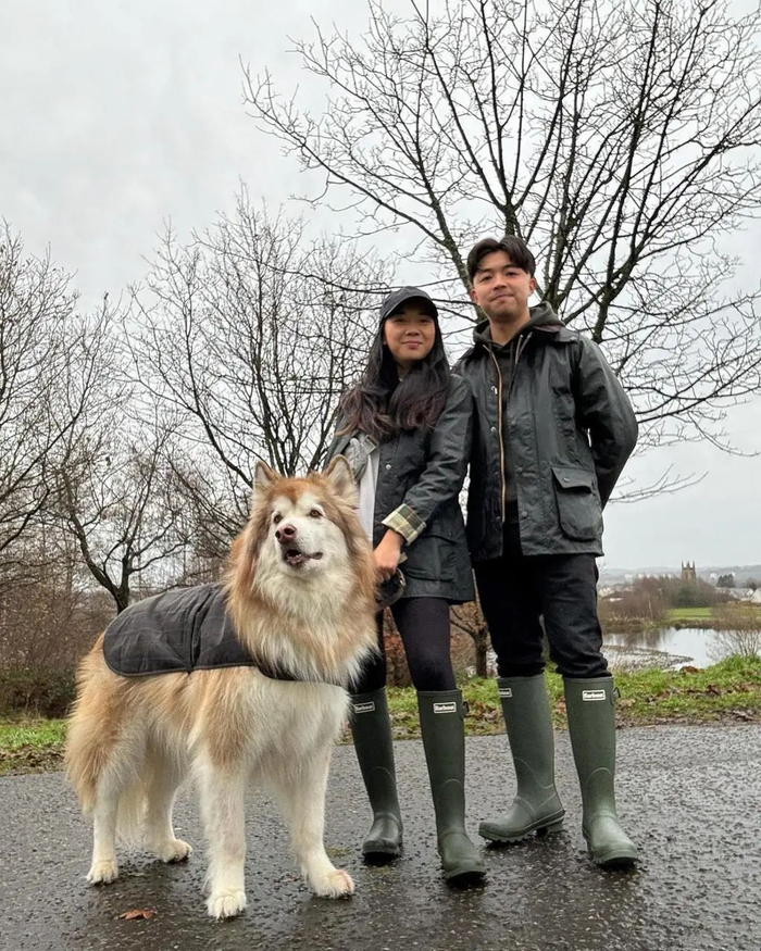 Barbour还有为狗制作的牵引绳、领结等物品。图源ins:@barbour