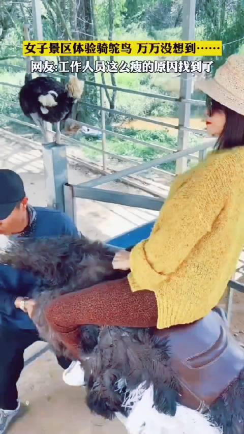 女子景区体验骑鸵鸟万万没想到