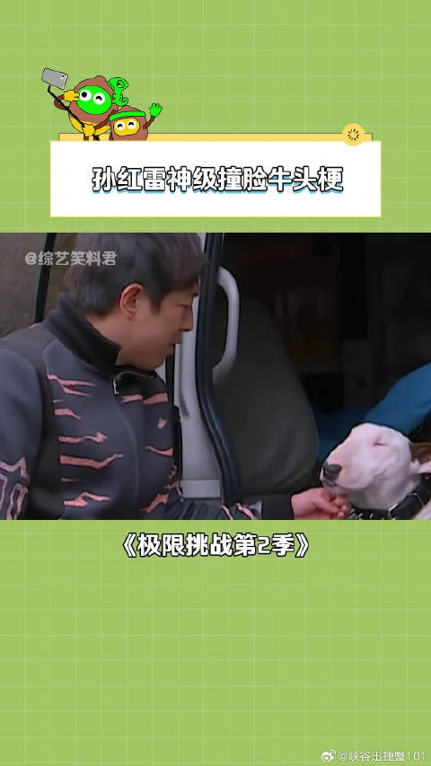 孙红雷与牛头梗简直长得一模一样黄渤我都不敢和它对视