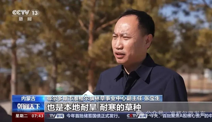 鄂尔多斯市准格尔旗林草事业中心副主任  张宝生:今年的墒情非常好
