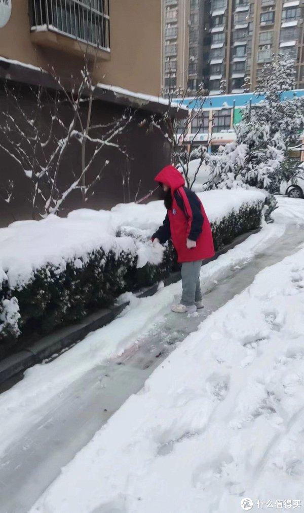 瑞雪兆丰年-雪后美景小记|白雪_新浪新闻