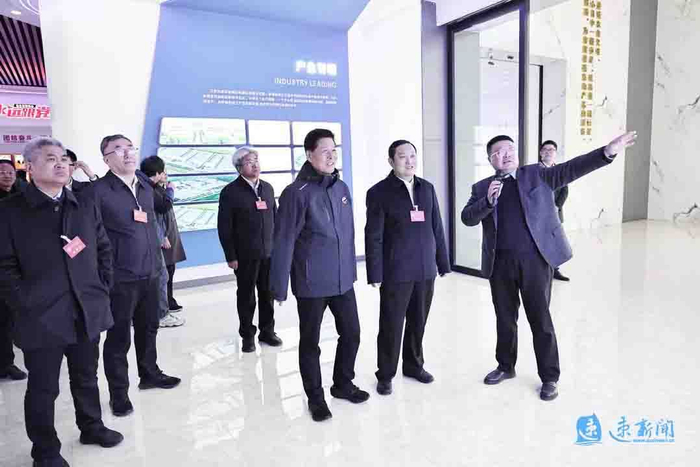 市政协常委会专题视察市区重大产业项目|冯岩|产业项目|江苏省_新浪