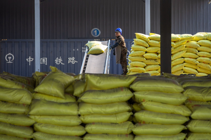 3月13日,在中国铁路哈尔滨局集团有限公司大庆车务段肇东站货场,工作