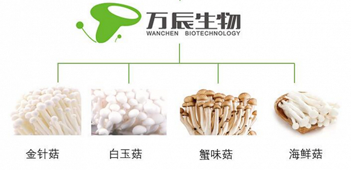 图源：万辰生物官网