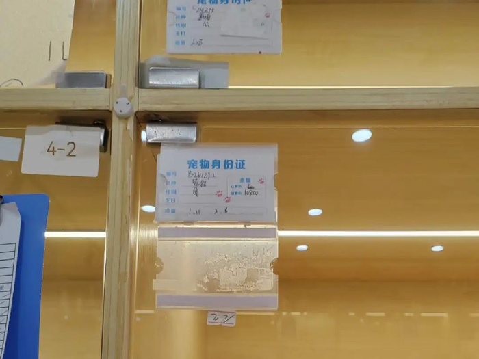 “免费领养”宠物店内的宠物价格。（图｜新周刊记者摄）