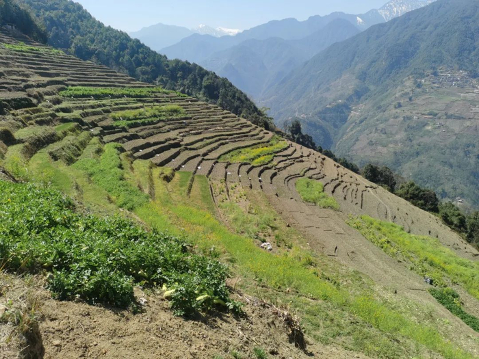 怒江福贡:春耕备耕农忙时,多措并举助丰收|怒江_新浪新闻