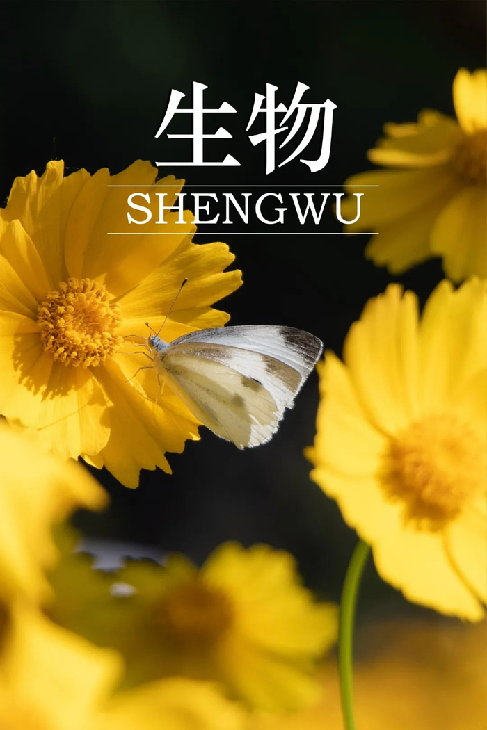 生物感受穿越时间的奥秘与可能分子舞动7315元素交融08溶液交融