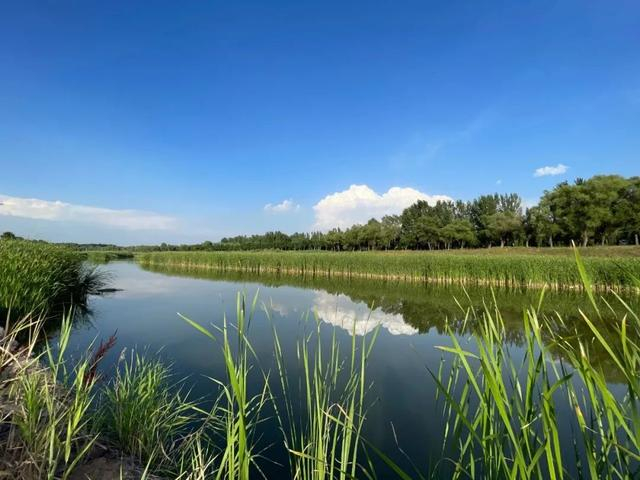 在山西,遇见绝美小森林!__财经头条