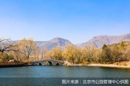 北京市属公园开启春季踏青赏花季活动